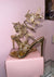 Delight Heels-Gold